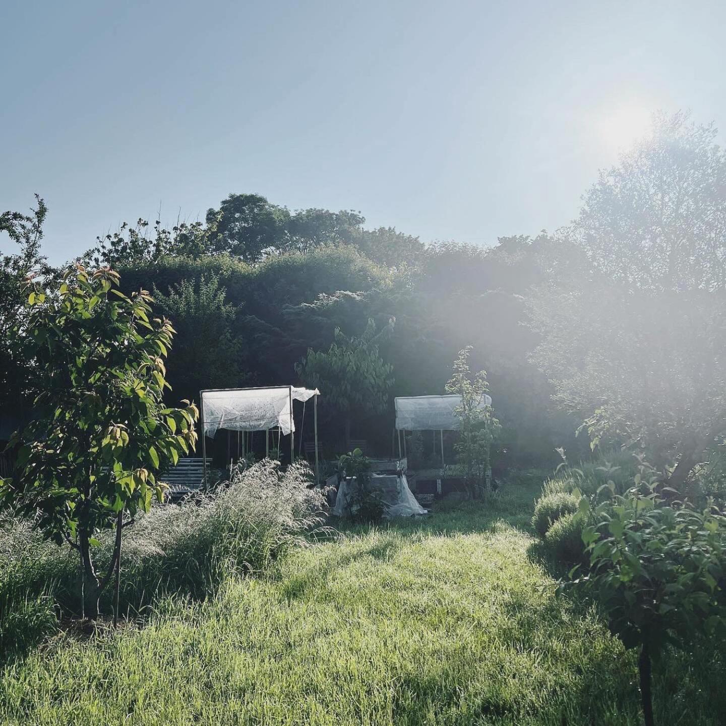 Maisonnette - La Clochette Lugon et l’Ile du Carney Exterior foto